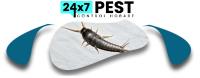 247 Silverfish Removal Hobart image 6